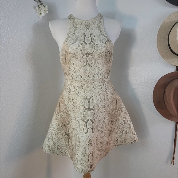 SILENCE + NOISE URBAN OUTFITTERS ROXY SNAKE PRINT SCUBA MINI A-LINE DRESS SZ: XS - Picture 6 of 12